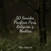 50 Sonidos Pacíficos Para Relajarse y Meditar