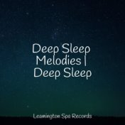 Deep Sleep Melodies | Deep Sleep