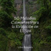 50 Melodías Calmantes Para la Relajación en El Spa