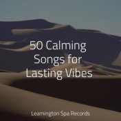 50 Calming Songs for Lasting Vibes