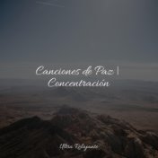 Canciones de Paz | Concentración
