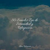 50 Sonidos Zen de Serenidad y Relajación