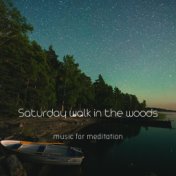 Saturday walk in the woods (music for meditation)