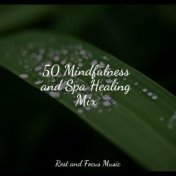 50 Mindfulness and Spa Healing Mix