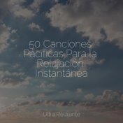 50 Canciones Pacíficas Para la Relajación Instantánea