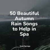 50 Beautiful Autumn Rain Songs to Help in Spa