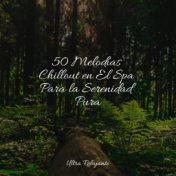 50 Melodías Chillout en El Spa Para la Serenidad Pura