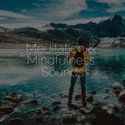 Meditation & Mindfulness Sounds