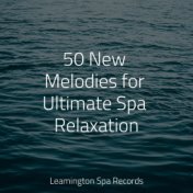 50 New Melodies for Ultimate Spa Relaxation