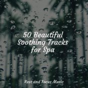 50 Beautiful Soothing Tracks for Spa