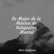 Lo Mejor de la Música de Relajación Mental