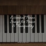 Essential Piano Songs for Peace & Tranquility