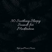 50 Soothing Sleepy Sounds for Meditation