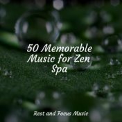 50 Memorable Music for Zen Spa
