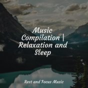 Music Compilation | Relaxation and Sleep