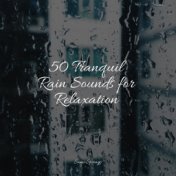 50 Tranquil Rain Sounds for Relaxation