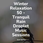 Winter Relaxation 50 - Tranquil Rain Droplet Music Sessions