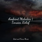 Ambient Melodies | Tension Relief