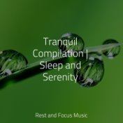 Tranquil Compilation | Sleep and Serenity