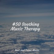 #50 Soothing Music Therapy