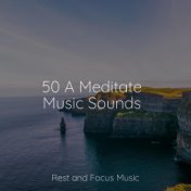 50 A Meditate Music Sounds