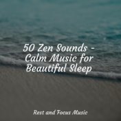 50 Zen Sounds - Calm Music for Beautiful Sleep