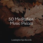 50 Meditation Music Pieces