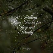 50 Thrilling Rain Tracks for Sleep and Serenity