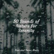 50 Sounds of Nature for Serenity