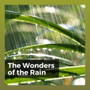 The Wonders of the Rain