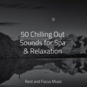 50 Chilling Out Sounds for Spa & Relaxation