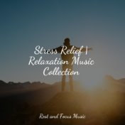 Stress Relief | Relaxation Music Collection