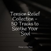 Tension Relief Collection - 50 Tracks to Soothe Your Soul