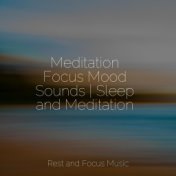 Meditation Focus Mood Sounds | Sleep and Meditation
