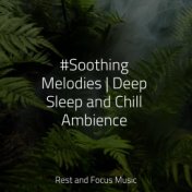 #Soothing Melodies | Deep Sleep and Chill Ambience