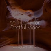 50 Tracks for Restful Vibes