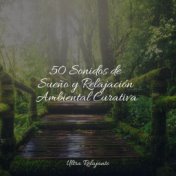 50 Sonidos de Sueño y Relajación Ambiental Curativa