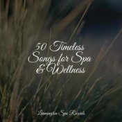 50 Timeless Songs for Spa & Wellness