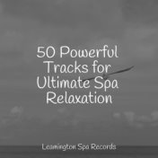 50 Powerful Tracks for Ultimate Spa Relaxation