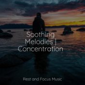 Soothing Melodies | Concentration