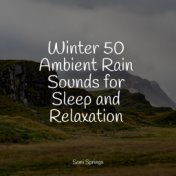 Winter 50 Ambient Rain Sounds for Sleep and Relaxation