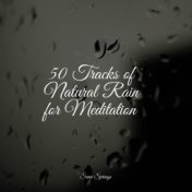 50 Tracks of Natural Rain for Meditation