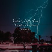 Calm & Soft Rain Sounds Ambiance Tracks