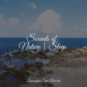 Sounds of Nature | Sleep