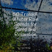 50 Loopable Rain Sounds for Chilling Out & Meditation