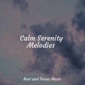 Calm Serenity Melodies