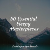 50 Essential Sleepy Masterpieces