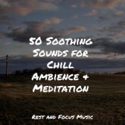 50 Soothing Sounds for Chill Ambience & Meditation