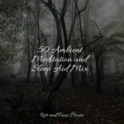 50 Ambient Meditation and Sleep Aid Mix