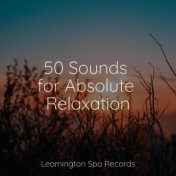 50 Sounds for Absolute Relaxation